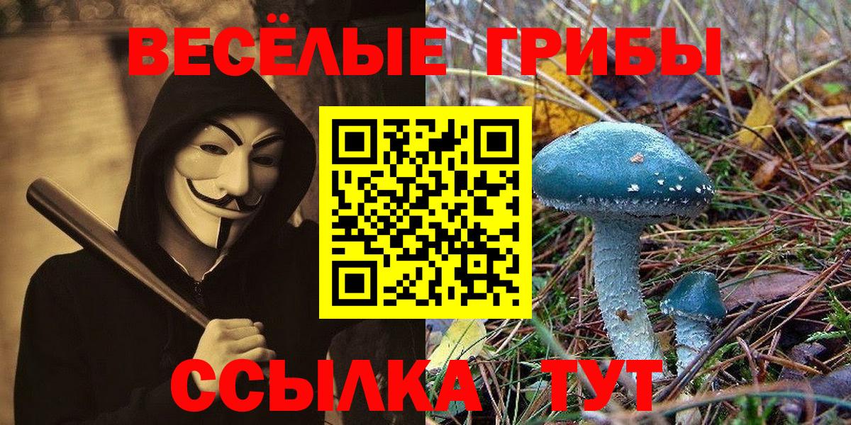 Дзержинский  Псилоцибиновые грибы прущие грибы  Вход с VPN 